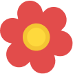 Spring-Summer Term